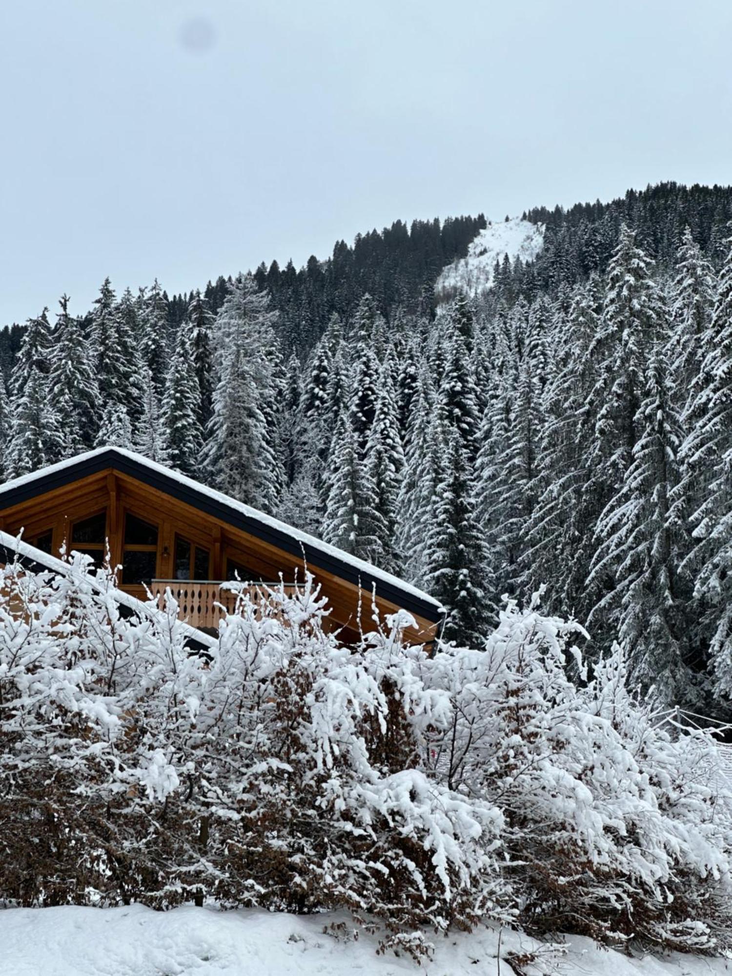 La Rose Des Neiges A شاتيل المظهر الخارجي الصورة